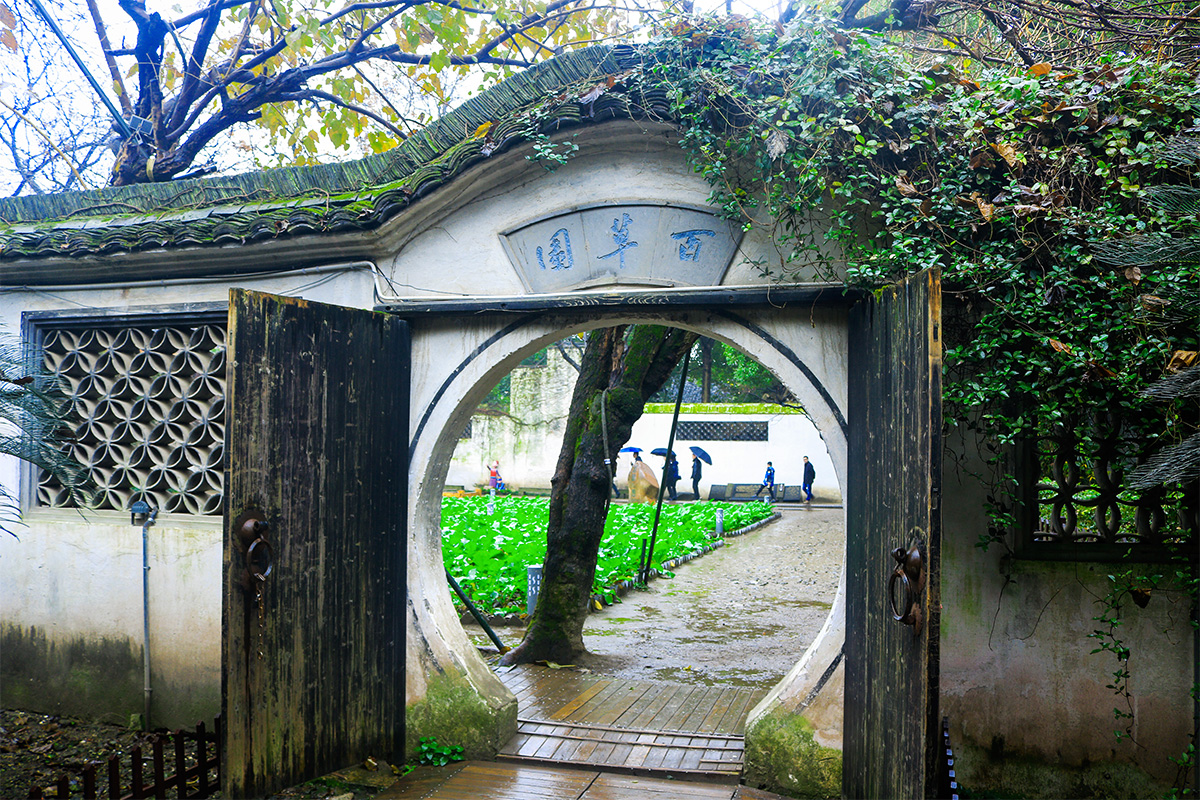百草园